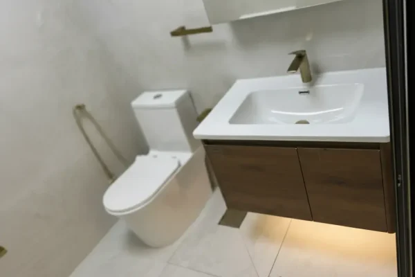 Bathroom deep cleaning