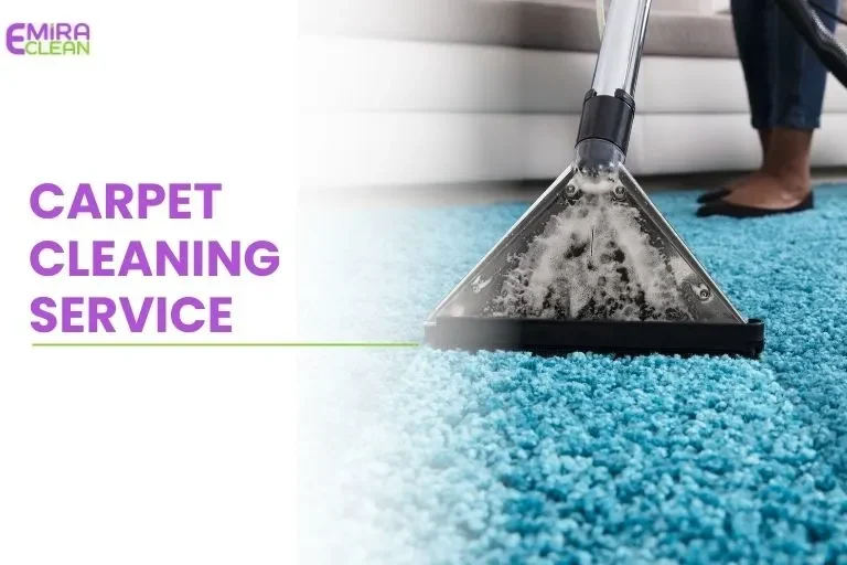 Professional carpet deep cleaning services removing dirt stains and allergens