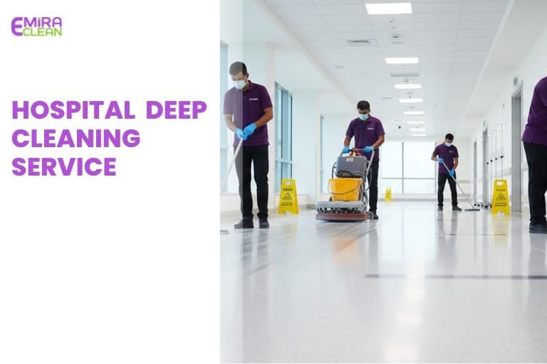 Professional clinic deep cleaning services with medical-grade disinfection