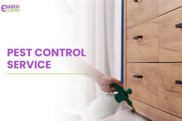 Professional pest control services in Dubai for cockroach removal