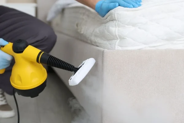 Sofa Steam cleaning services in Dubai